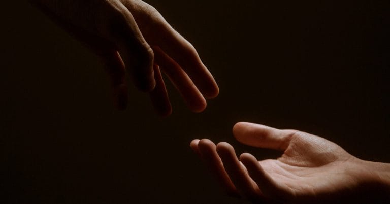 Rosehips Oil For Our Skin